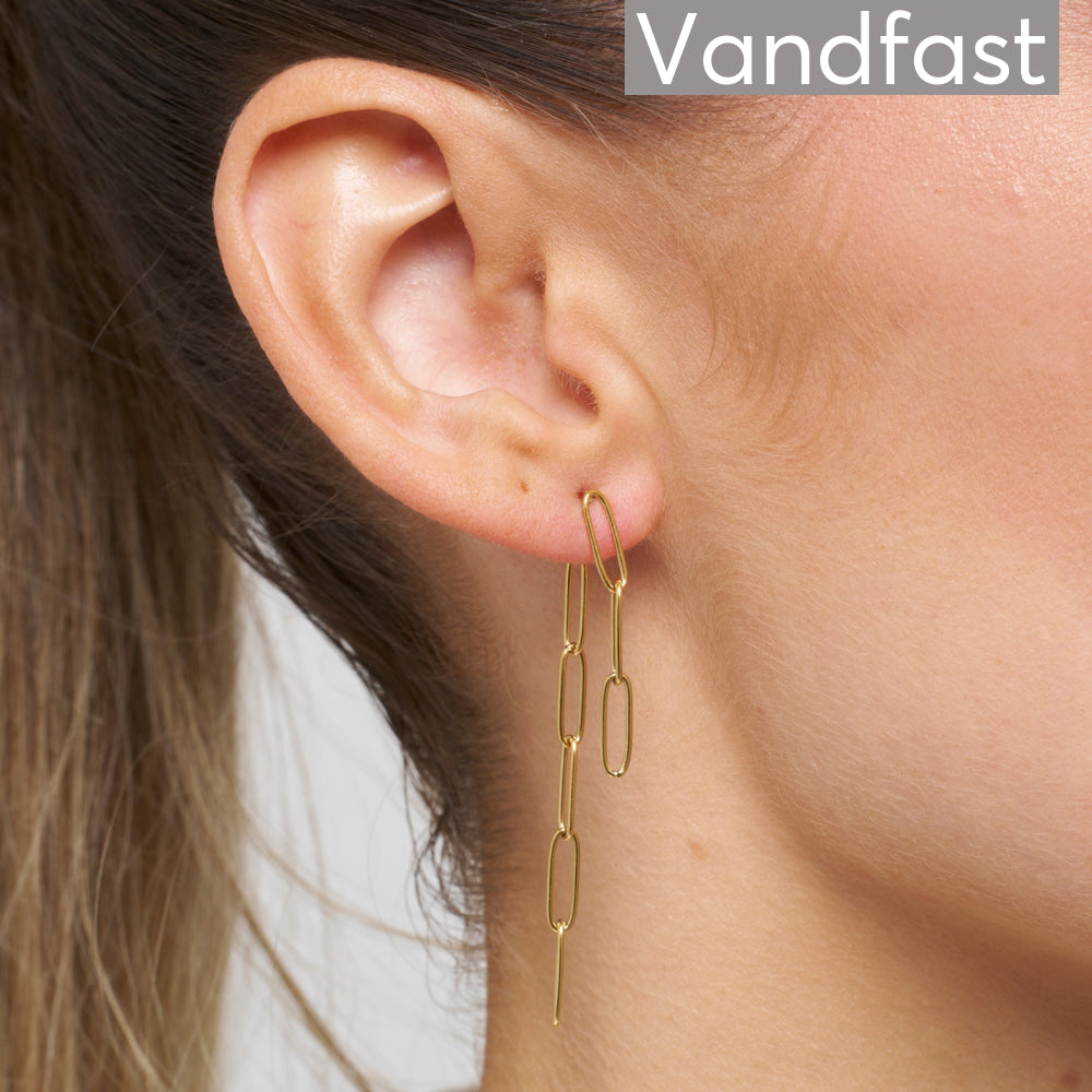 Annebrauner Carrier Earrings