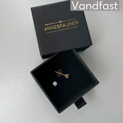 Annebrauner Princess 4Mm Earrings