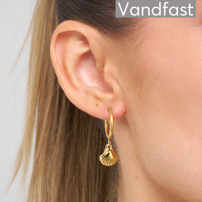 Annebrauner Shell Hoops