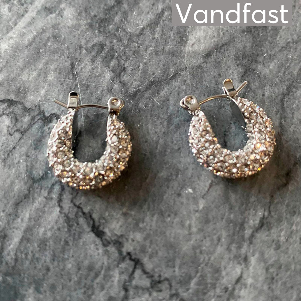 Annebrauner Sparkling Party Earrings