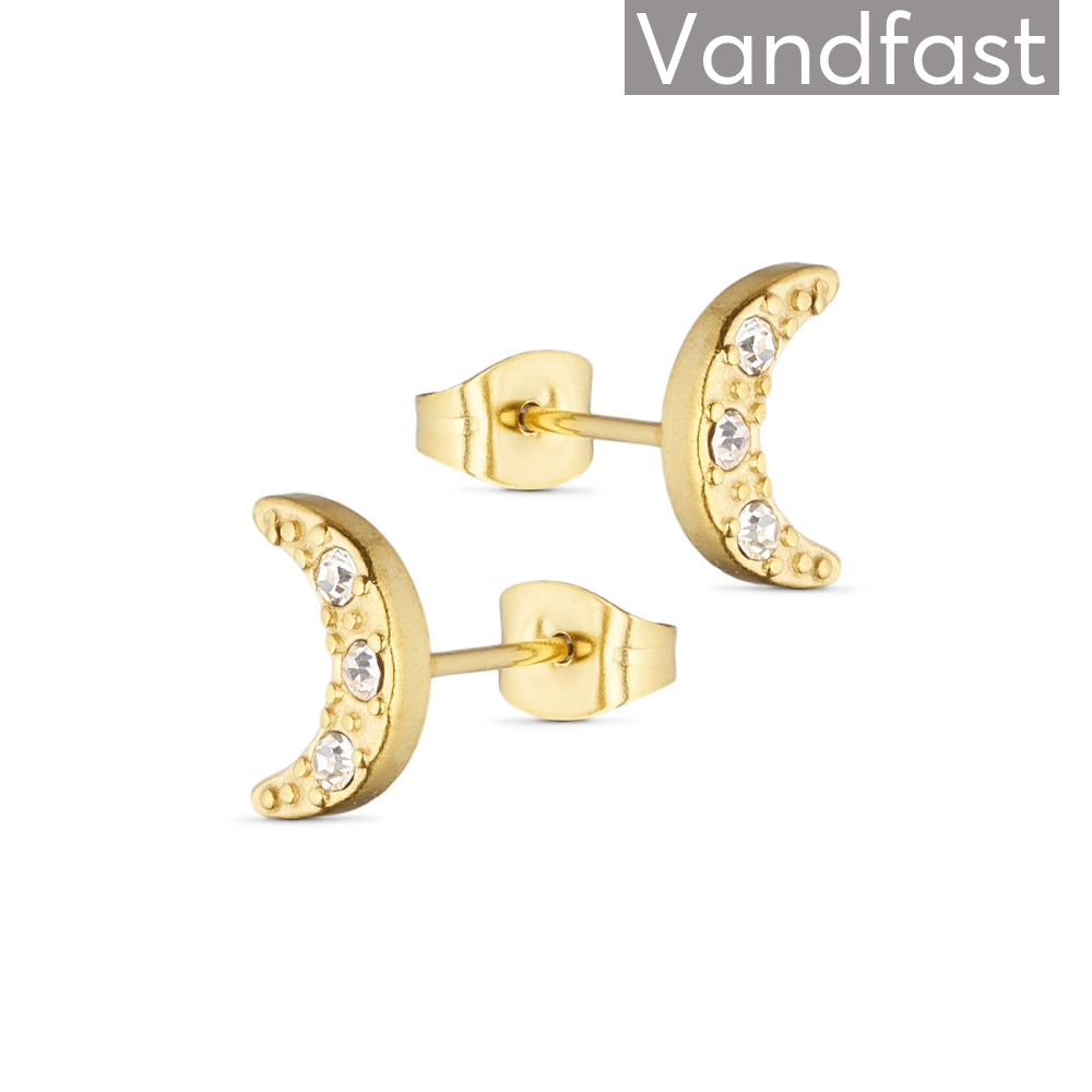 Annebrauner Zirconia Moon Earrings